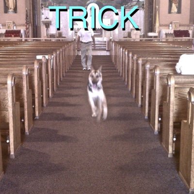 Alex G - Trick (LP with 7" Vinyl Reissue)