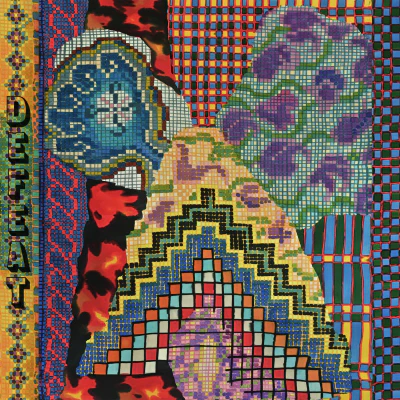 Animal Collective - Defeat (12" Vinyl)