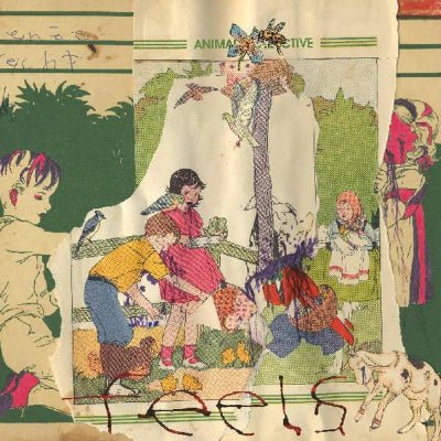 Animal Collective - Feels (2LP Vinyl Reissue)