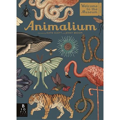 Animalium - Jenny Broom