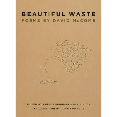 Beautiful Waste - David McComb
