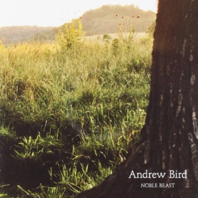 Bird, Andrew - Noble Beast (2LP Vinyl)