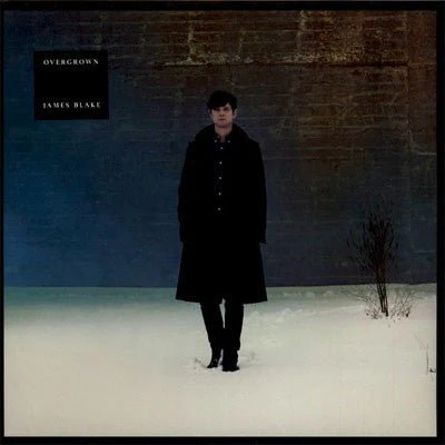 Blake, James - Overgrown (2LP Vinyl)