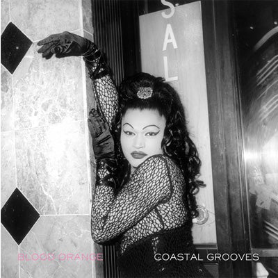 Blood Orange ‎- Coastal Grooves (Vinyl)