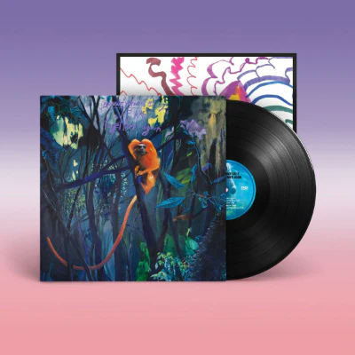 Bonnie 'Prince' Billy - We Are Together Again (Vinyl)