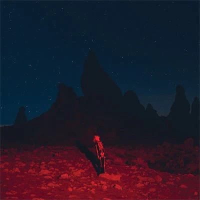Bridgers, Phoebe - Punisher (Black Vinyl)