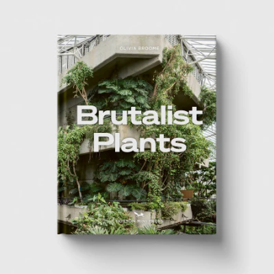 Brutalist Plants - Olivia Broome
