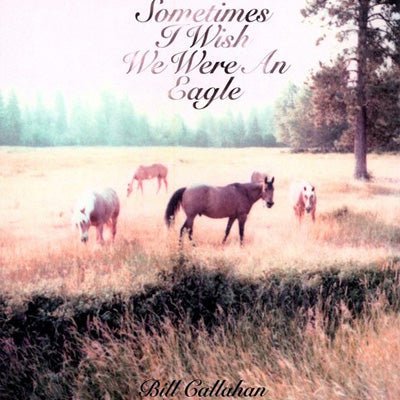 Callahan, Bill - Sometimes I Wish We Were An Eagle (Vinyl)