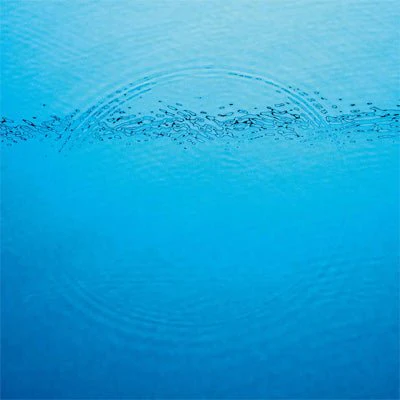 Caribou - Suddenly (Black Vinyl)