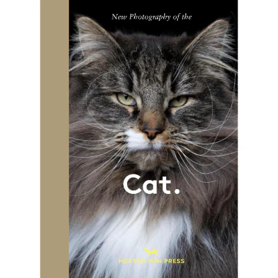 Cat. : Best New Photography of Cats - Hoxton Mini Press