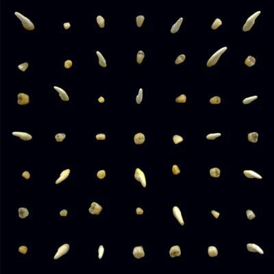 Clipping - Visions Of Bodies Being Burned (2LP Vinyl)