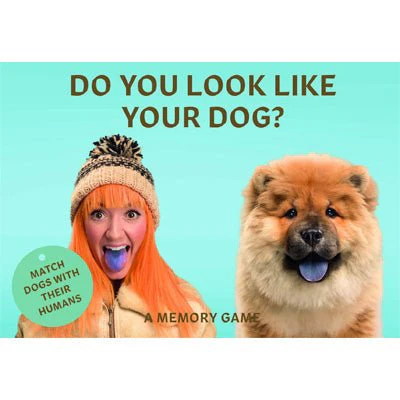 Do You Look Like Your Dog? Match Dogs with Their Humans : A Memory Game