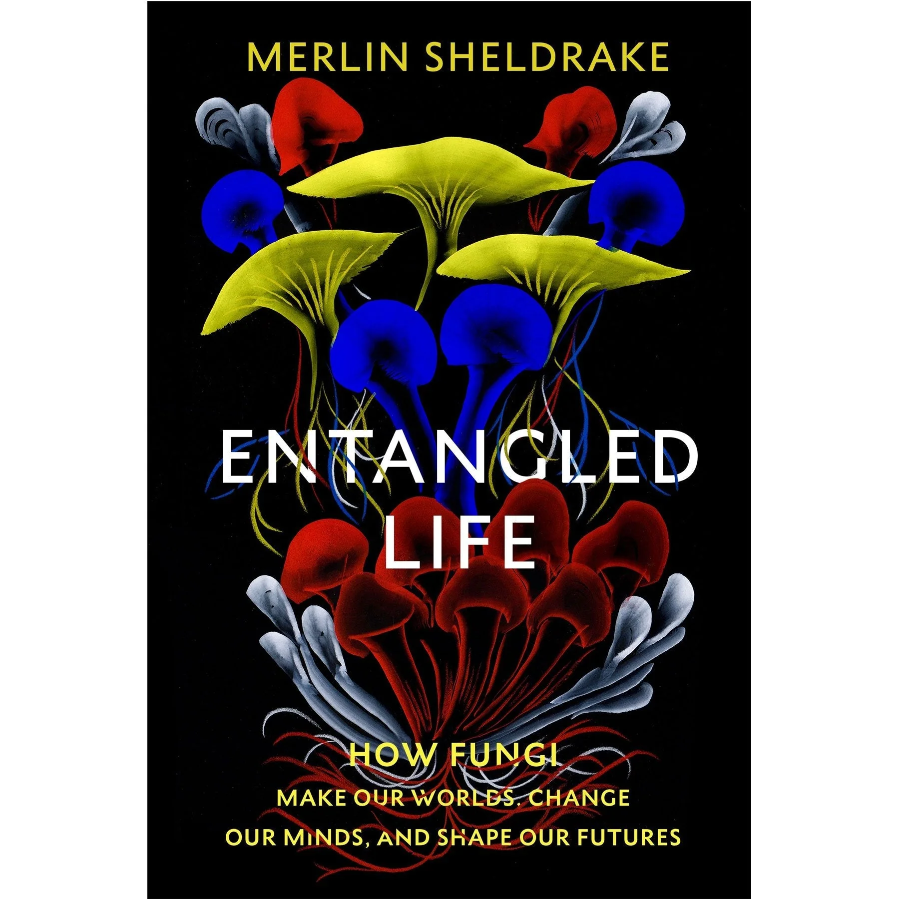 Entangled Life : How Fungi Make Our Worlds, Change Our Minds and Shape Our Futures (Smaller Format) -