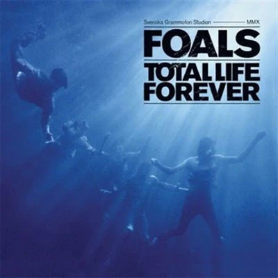 Foals - Total Life Forever (Black Vinyl)