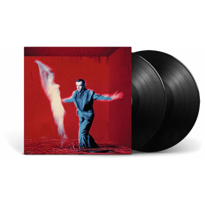 Gabriel, Peter - Us (Vinyl)