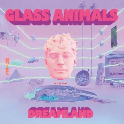 Glass Animals - Dreamland (Black Vinyl)