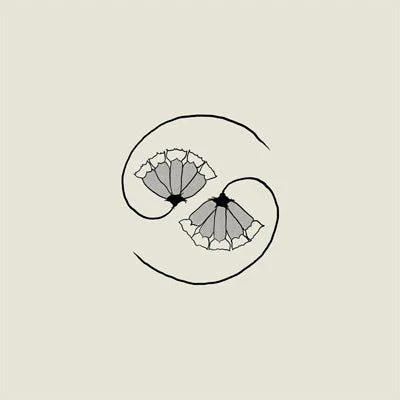 Godspeed You! Black Emperor - G_d’s Pee AT STATE’S END! (Vinyl)