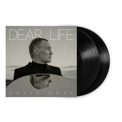 Gray, David - Dear Life (Standard Black Vinyl)