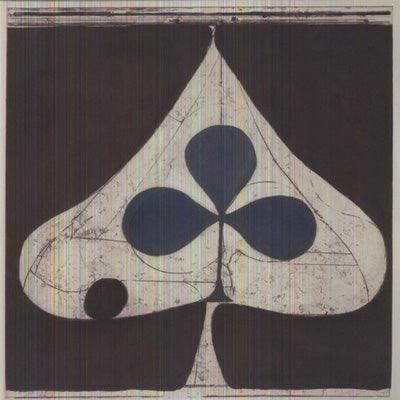 Grizzly Bear - Shields (Vinyl)
