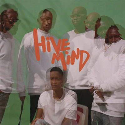 Internet, The - Hive Mind (Vinyl)
