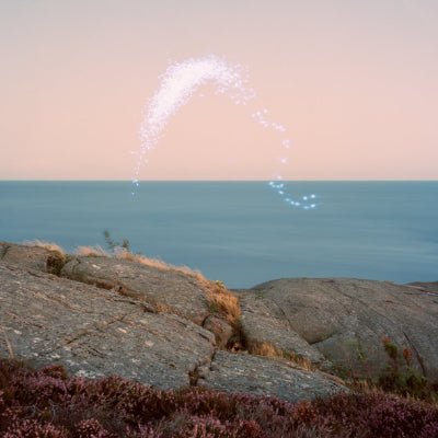 Jenkins, Cassandra - An Overview on Phenomenal Nature (Vinyl)