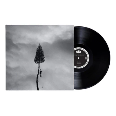 Manchester Orchestra - A Black Mile To The Surface (Vinyl)