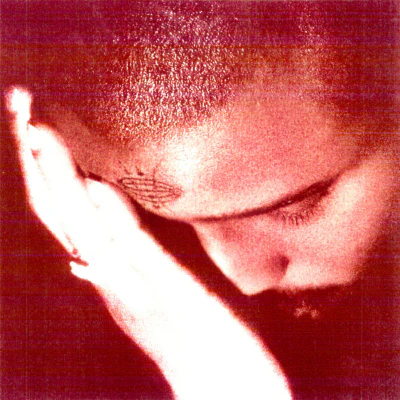 Nourished by Time - The Passionate Ones (Black Vinyl)