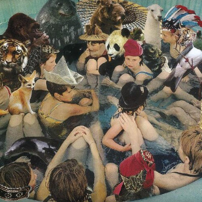 Panda Bear - Person Pitch (2LP Vinyl)
