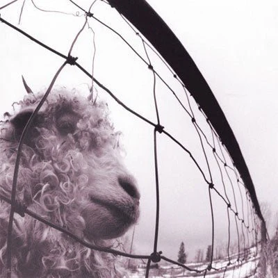 Pearl Jam - Vs (Vinyl)