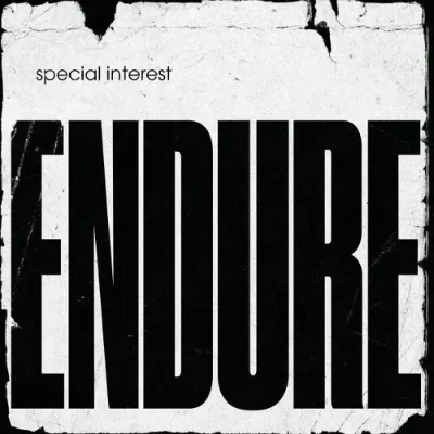Special Interest - Endure (Vinyl)