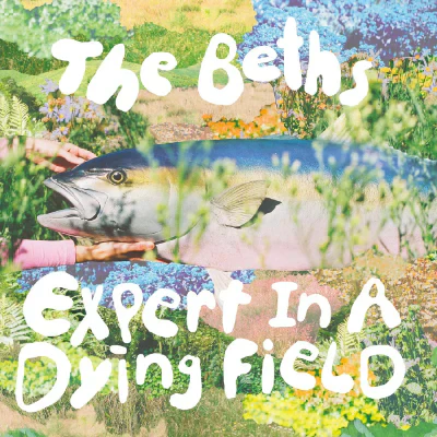 Beths, The - Expert In A Dying Field (Silver Vinyl)