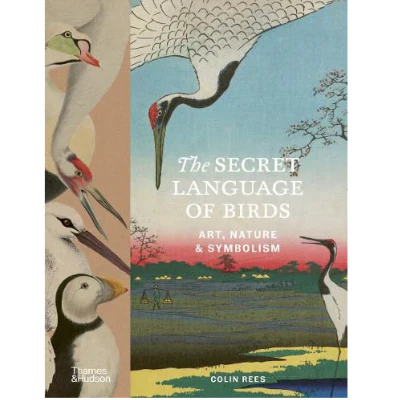 Secret Language of Birds - Colin Rees