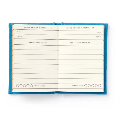 Tiny Hopes And Dreams Tiny Diary - Brass Monkey - Image 2